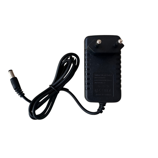 Chargeur IZIGUN PRO